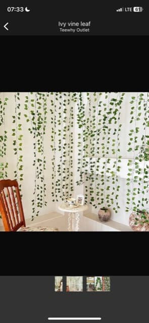 Ivy vine leaf